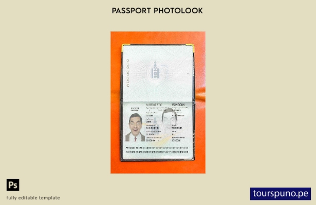Plantilla de apariencia de foto de pasaporte de Mongolia lista para imprimir