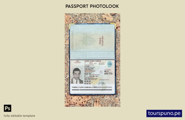 Plantilla de apariencia de foto de pasaporte de Noruega lista para imprimir
