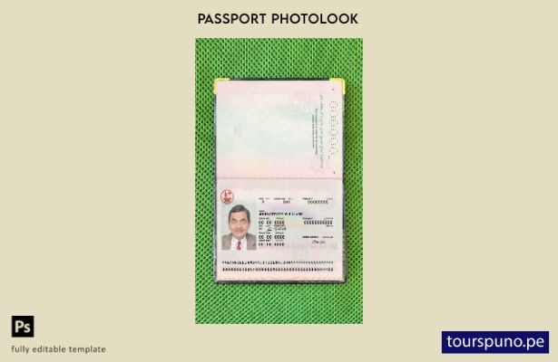 Plantilla de apariencia de foto de pasaporte de Qatar lista para imprimir