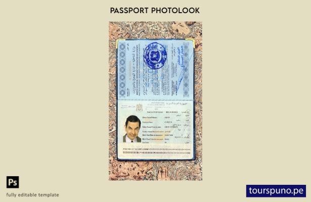 Plantilla de apariencia de foto de pasaporte de Siria lista para imprimir
