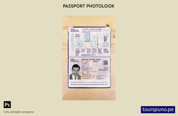 Plantilla de apariencia de foto de pasaporte de Suecia lista para imprimir