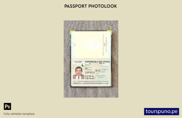Plantilla de apariencia fotográfica de versión de pasaporte de Chile lista para