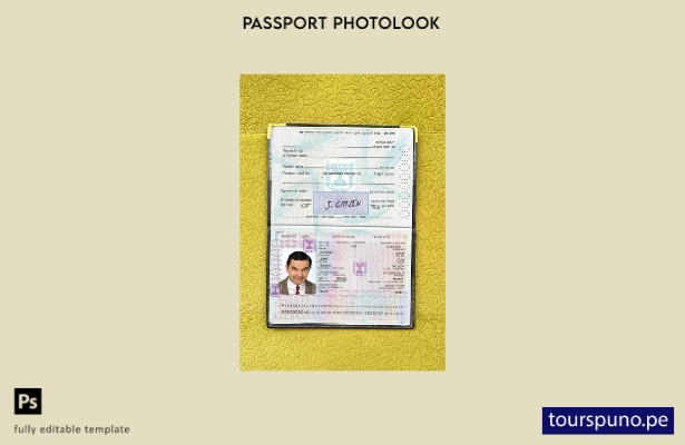 Plantilla de aspecto fotográfico lista para imprimir el pase de Israel ( )