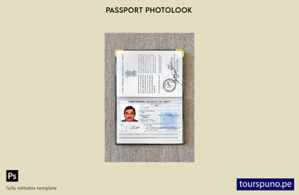 Plantilla de aspecto fotográfico lista para imprimir pasaporte de India (present