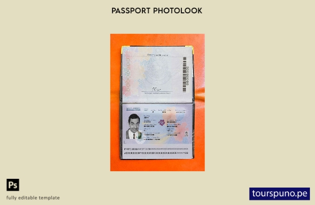 Plantilla de aspecto fotográfico lista para imprimir pasaporte de Malasia (prese