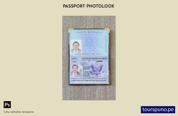 Plantilla de aspecto fotográfico para pasaporte de EE. UU. lista para imprimir