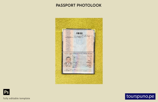 listo para imprimir la plantilla de presentación fotográfica del pasaporte de Is