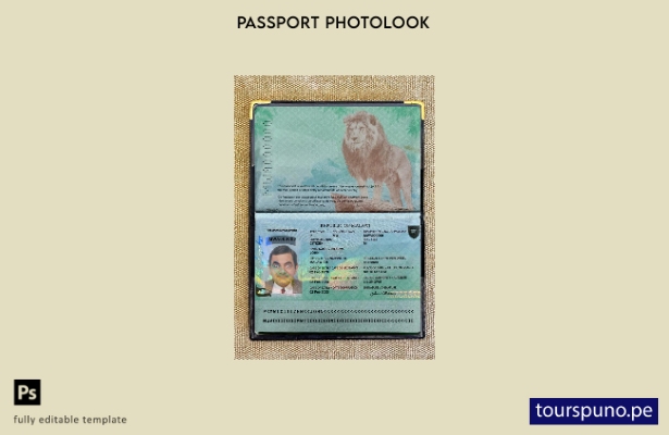 listo para imprimir la plantilla de presentación fotográfica del pasaporte de Ma