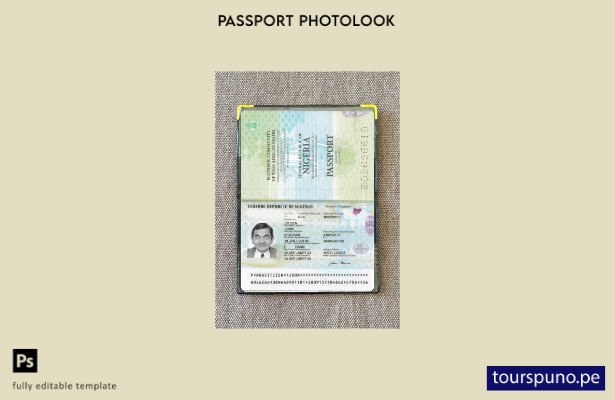 listo para imprimir la plantilla de presentación fotográfica del pasaporte de Ni