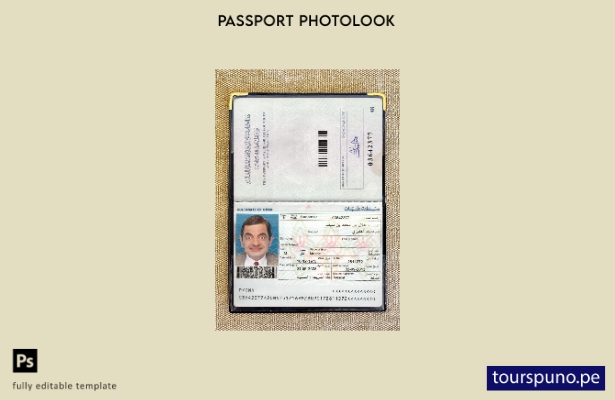 listo para imprimir la plantilla de presentación fotográfica del pasaporte de Om