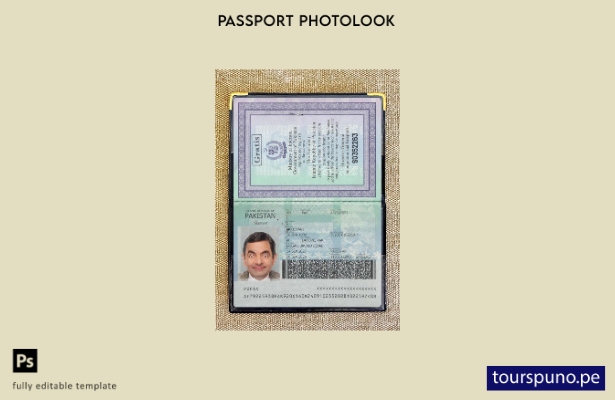 listo para imprimir la plantilla de presentación fotográfica del pasaporte de Pa