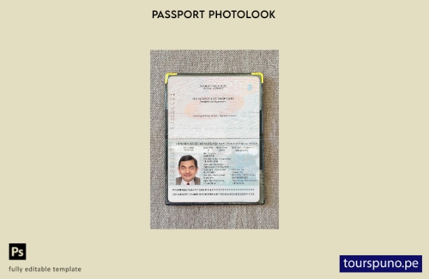 listo para imprimir la plantilla de presentación fotográfica del pasaporte de Vi