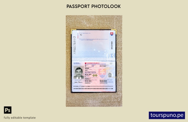 listo para imprimir la plantilla de presentación fotográfica del pasaporte de 10