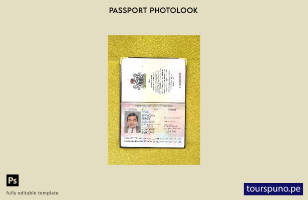listo para imprimir plantilla de aspecto fotográfico del pasaporte de Nigeria ()