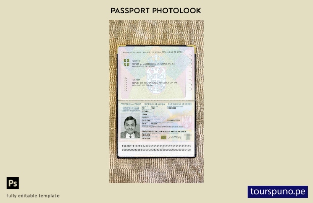listo para imprimir plantilla de aspecto fotográfico del pasaporte diplomático d