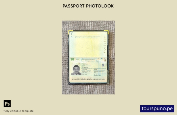 listo para imprimir plantilla de presentación fotográfica del pasaporte de Santo