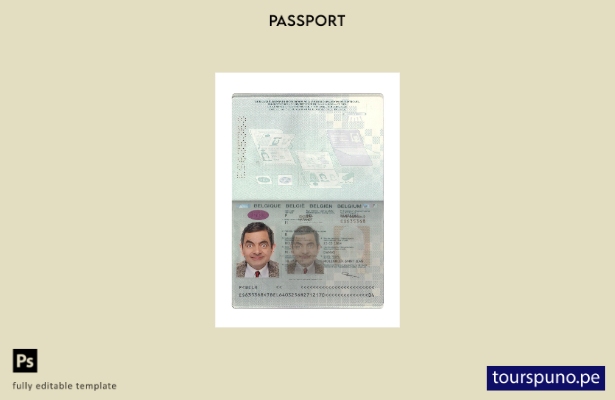Listo para imprimir la plantilla actual del pasaporte belga