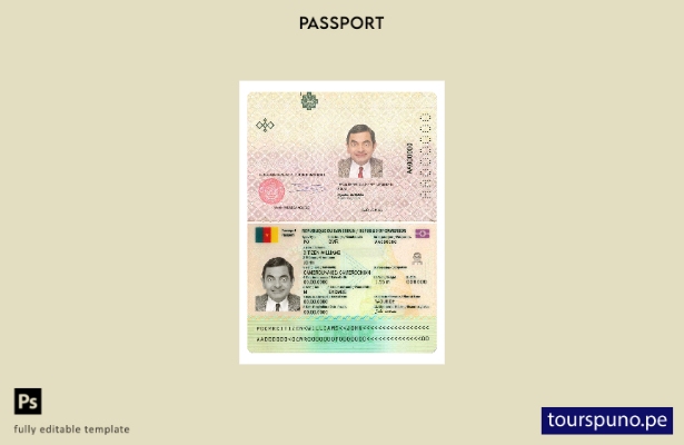 Listo para imprimir la plantilla actual del pasaporte de Camerún