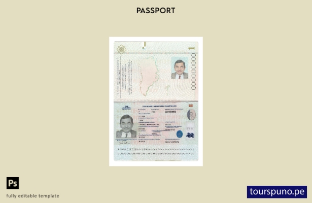 Listo para imprimir la plantilla actual del pasaporte de Dinamarca