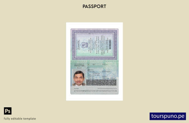 Listo para imprimir la plantilla actual del pasaporte de Pakistán