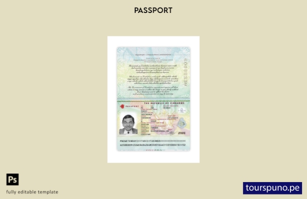 Listo para imprimir la plantilla actual del pasaporte de Zimbabwe