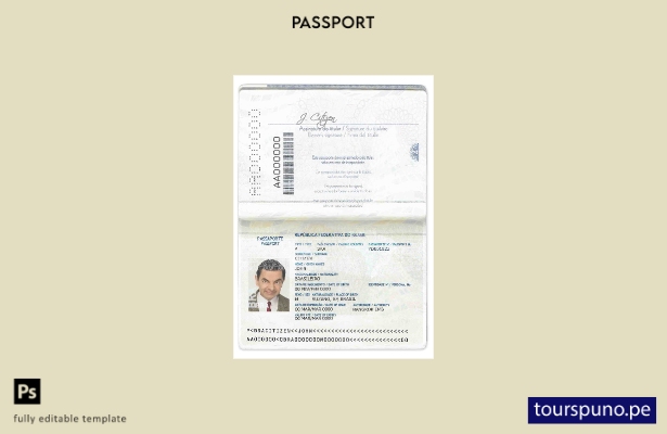Listo para imprimir la plantilla de pasaporte de Brasil ()