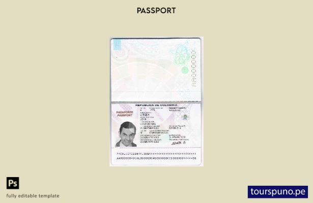 Plantilla de pasaporte colombiano lista para imprimir
