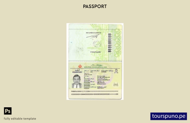 Plantilla de pasaporte de Brunei lista para imprimir