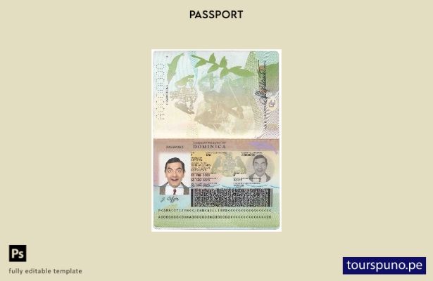 Plantilla de pasaporte de Dominica lista para imprimir