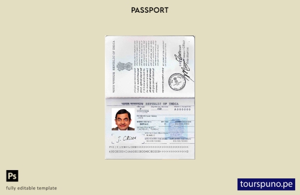 Plantilla de pasaporte de India ( presente) lista para imprimir