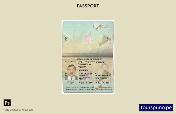 Plantilla de pasaporte de Salvador lista para imprimir