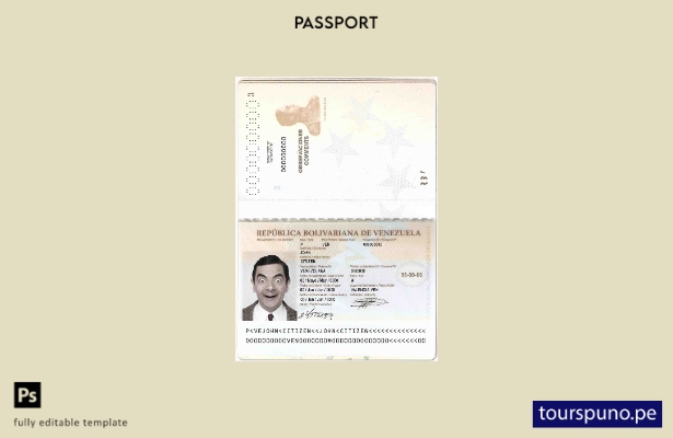 Plantilla de pasaporte de Venezuela lista para imprimir
