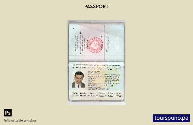 Plantilla de pasaporte de Vietnam lista para imprimir