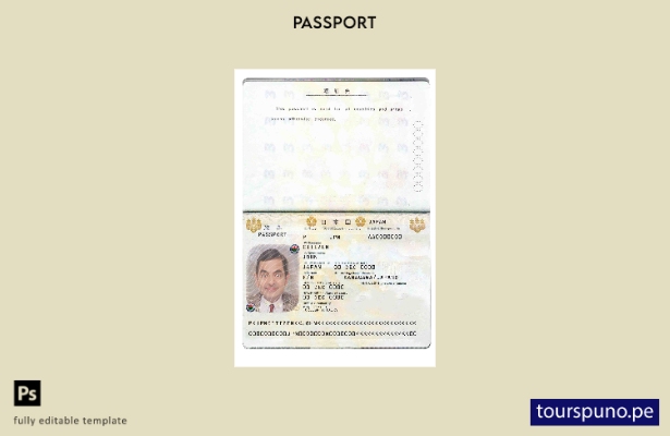 Plantilla de pasaporte japonés lista para imprimir 1