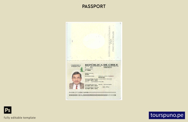 Plantilla de versión de pasaporte de Chile lista para imprimir