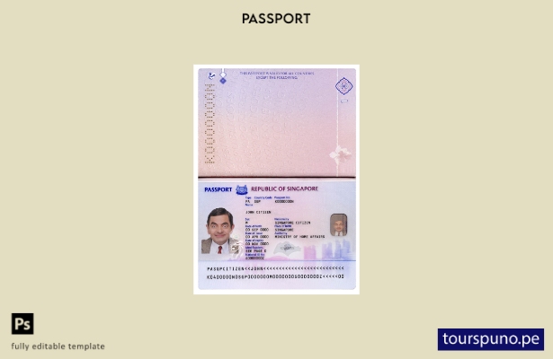 listo para imprimir plantilla de nuevo pasaporte (+) de Singapur