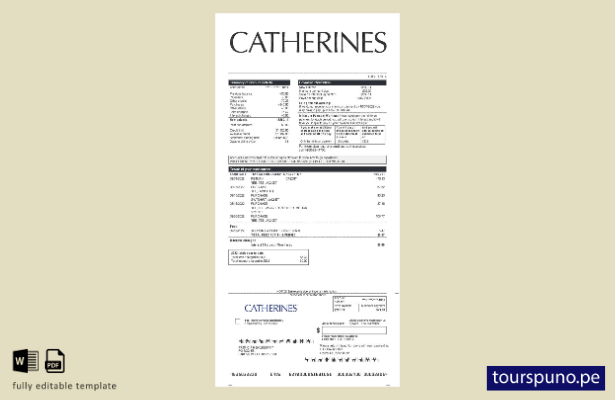 Plantilla de declaración de ganancias de Catherine lista para imprimir
