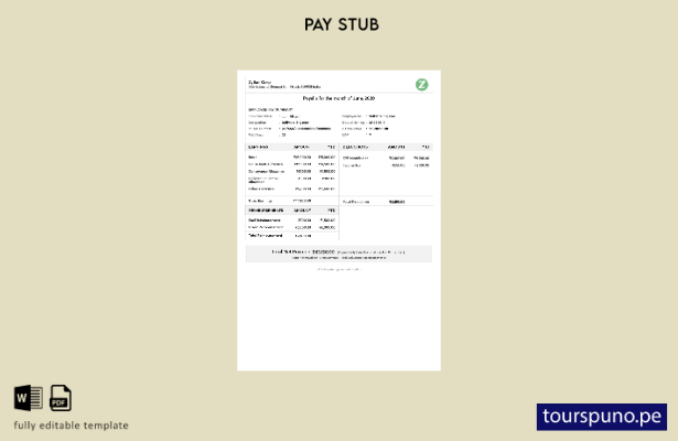lista para imprimir plantilla de recibo de nómina de la corporación India Zylker