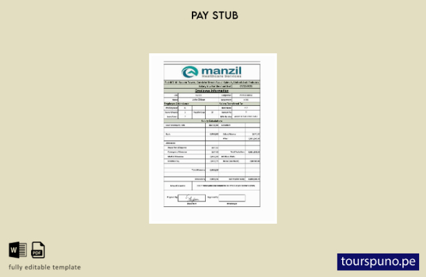 lista para imprimir plantilla de recibo de sueldo de UAE Manzil Healthcare Servi