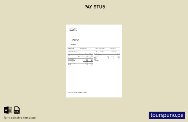 listo para imprimir McCarthy Wild Services, Inc․ plantilla de recibos de sueldo