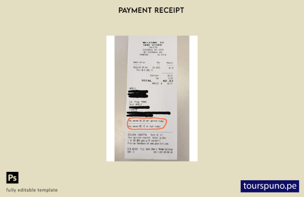 Plantilla de recibo de pago de la tienda Phillips lista para imprimir