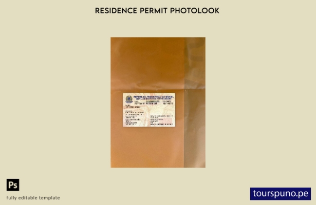 Plantilla frontal de aspecto fotográfico del permiso de residencia de Brasil lis