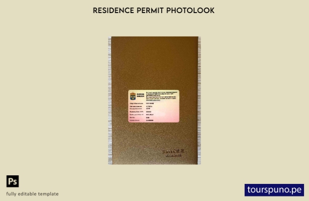 listo para imprimir plantilla FRONTAL de foto de tarjeta de residencia permane 2