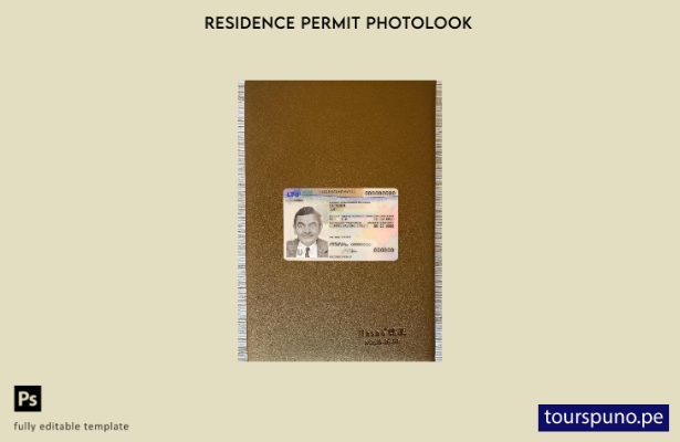 listo para imprimir plantilla frontal de aspecto fotográfico del permiso de re 5