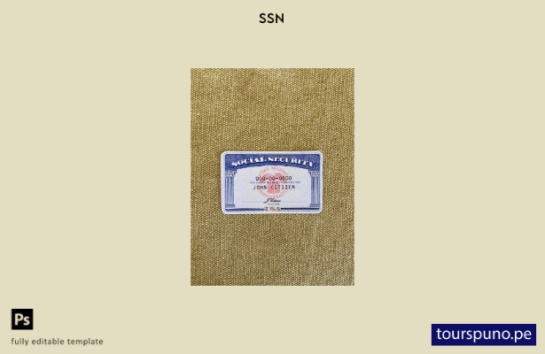 listo para imprimir USA SSN photolook fondo textil beige Plantilla FRONTAL