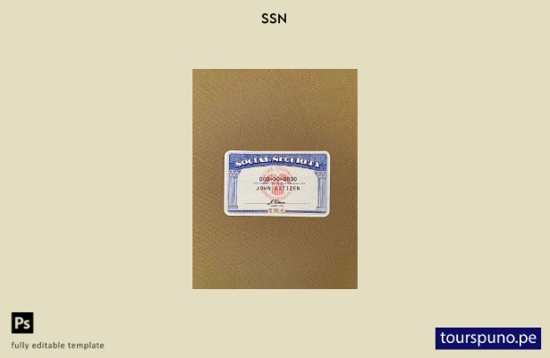 listo para imprimir USA SSN photolook fondo textil beige oscuro plantilla FRONTA