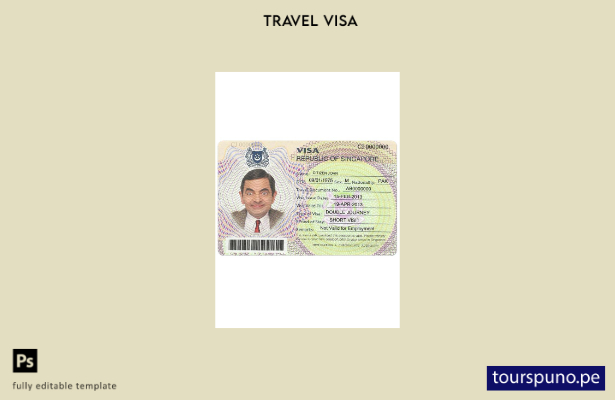 Plantilla de visa de Singapur lista para imprimir
