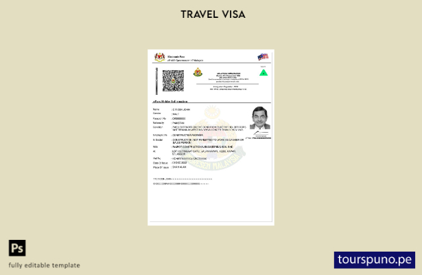 Plantilla de visa de entrada con pase electrónico para Malasia lista para imprim