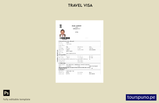 Plantilla de visa electrónica para India lista para imprimir en formatos Word y