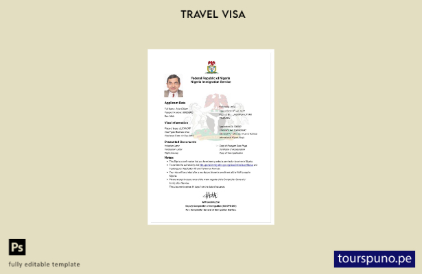 Plantilla de visa electrónica para Nigeria lista para imprimir